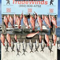 Trade Winds Fishing Trip - June 2024